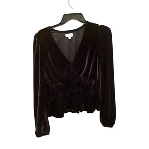 True Craft Long Sleeve Velvet Surplice Top in Black Small
